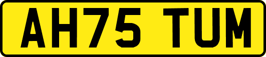 AH75TUM