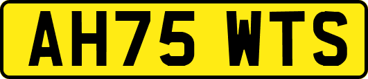 AH75WTS