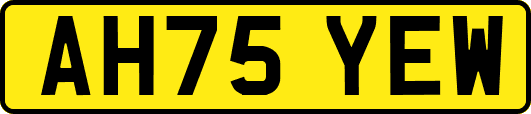 AH75YEW