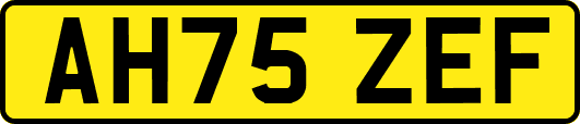 AH75ZEF