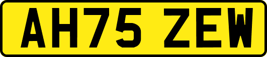AH75ZEW