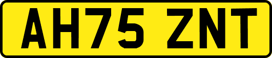 AH75ZNT