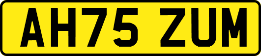 AH75ZUM