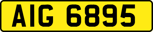 AIG6895