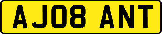 AJ08ANT