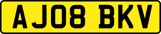 AJ08BKV