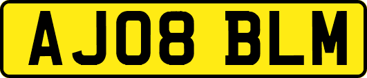 AJ08BLM