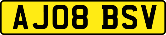 AJ08BSV