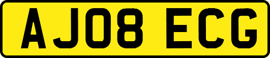 AJ08ECG