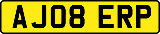 AJ08ERP