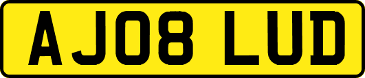 AJ08LUD