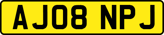 AJ08NPJ