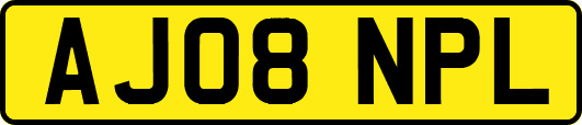 AJ08NPL