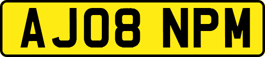AJ08NPM