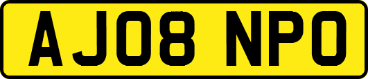 AJ08NPO