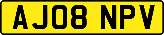 AJ08NPV