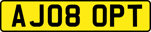AJ08OPT