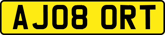 AJ08ORT