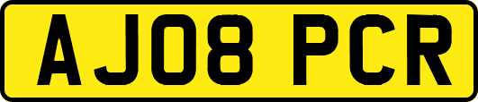 AJ08PCR