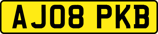 AJ08PKB