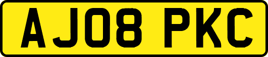 AJ08PKC