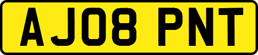 AJ08PNT