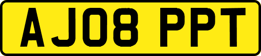 AJ08PPT