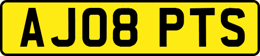 AJ08PTS