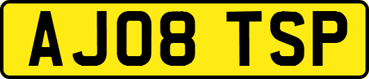 AJ08TSP