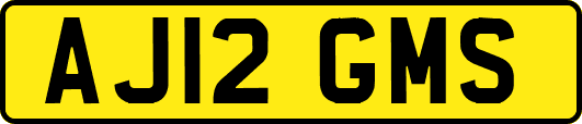 AJ12GMS