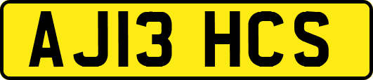 AJ13HCS