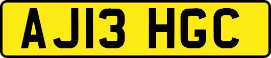 AJ13HGC