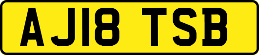 AJ18TSB