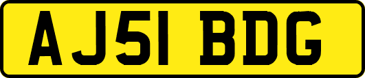 AJ51BDG