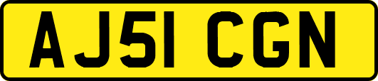 AJ51CGN