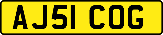 AJ51COG