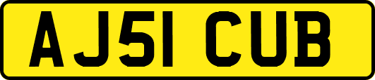 AJ51CUB