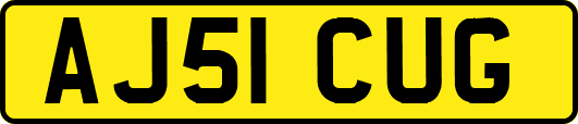 AJ51CUG