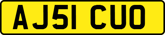 AJ51CUO