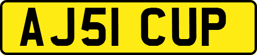 AJ51CUP