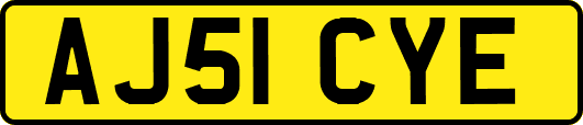 AJ51CYE