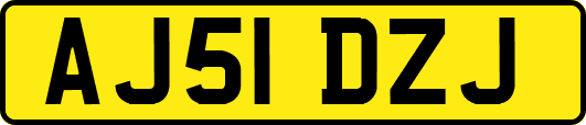 AJ51DZJ
