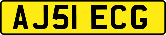 AJ51ECG