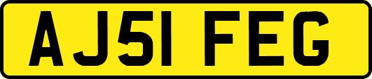 AJ51FEG