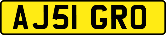 AJ51GRO