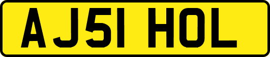 AJ51HOL