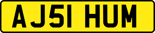 AJ51HUM