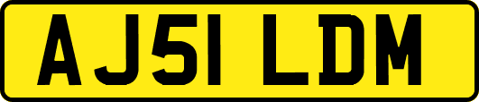 AJ51LDM