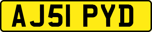 AJ51PYD