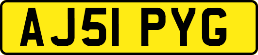 AJ51PYG